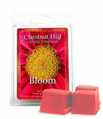 Chestnut_Hill_Bloom_geurwax_melt