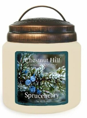 Chestnut_Hill_Spruceberry_geurkaars_2_lonten