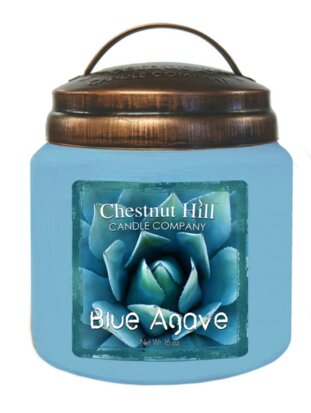 Chestnut_Hill_Blue_Agave_geurkaars_2_lonten