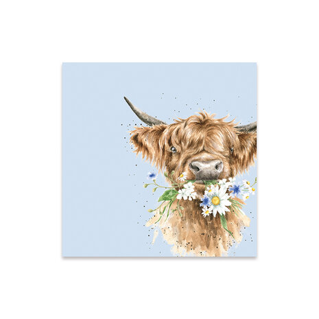 Wrendale_Designs_Papieren_Cocktail_Servet_Highland_Cow_Daisy_Coo_www.sfeerscent.nl