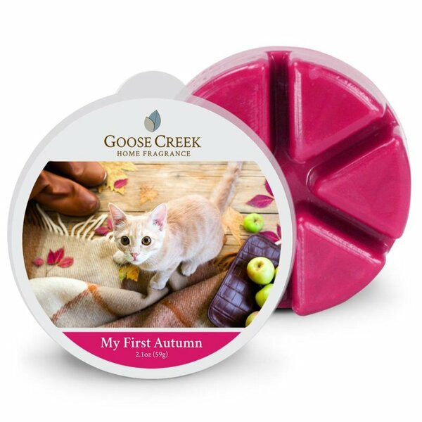 Goose Creek My First Autumn Wax Melt