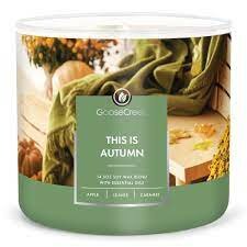 Goose_Creek_Candle_This_is_Autumn_3_wick_Candle