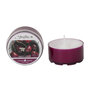 Macintosh Apple Goose Creek Candle&reg; Fireflies