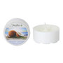 Goose Creek Candle&reg; Fireflies Soothing Coconut