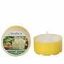 Goose Creek Candle&reg; Fireflies Old Time Lemonade