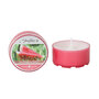 Watermelon Patch Goose Creek Candle&reg; Fireflies